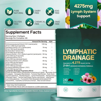 Lymphatic Wellness Support – 21-in-1 Advanced Botanical Formula | 240 Softgels